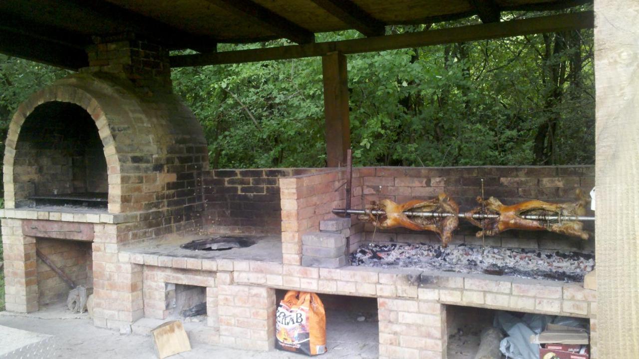 Pensiunea Larysse Băile Felix エクステリア 写真