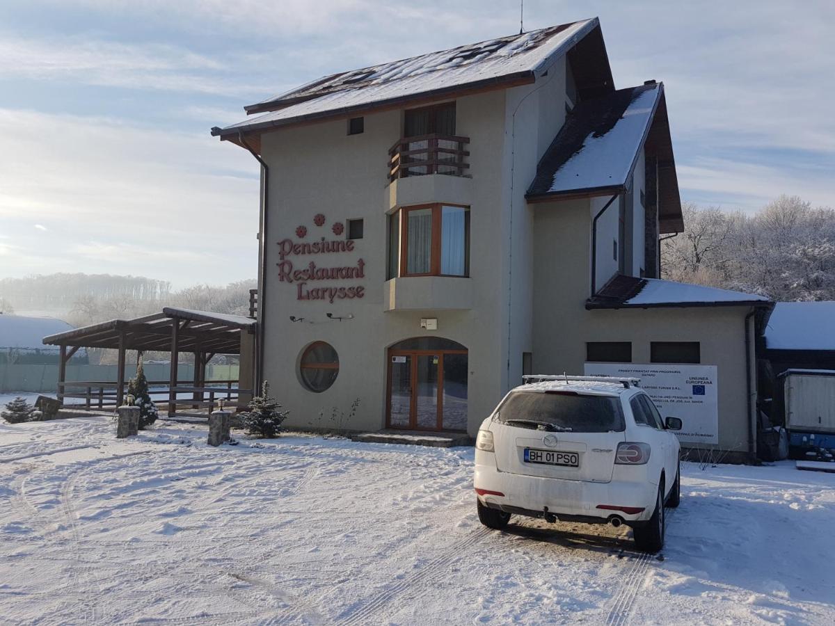 Pensiunea Larysse Băile Felix エクステリア 写真