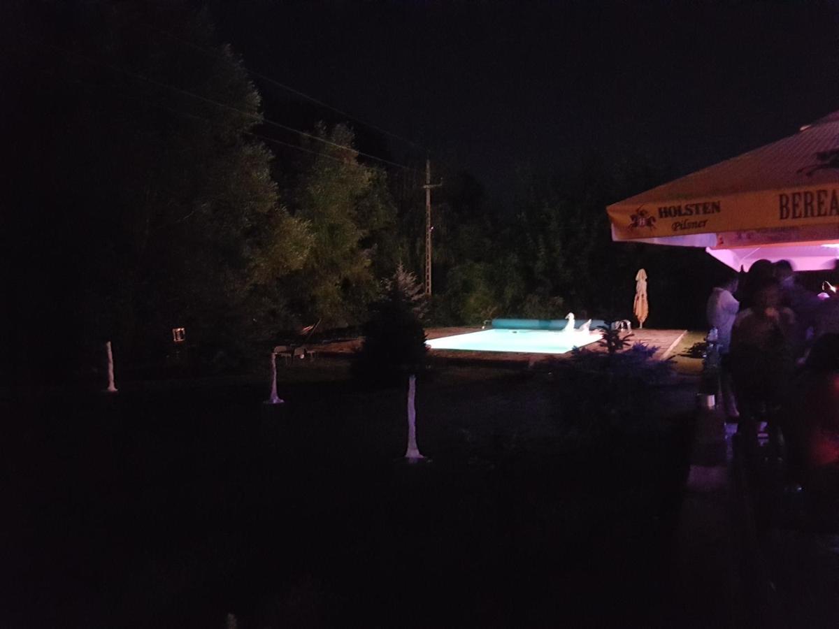 Pensiunea Larysse Băile Felix エクステリア 写真